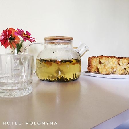 Mini Hotel Polonyna Pilipets 외부 사진