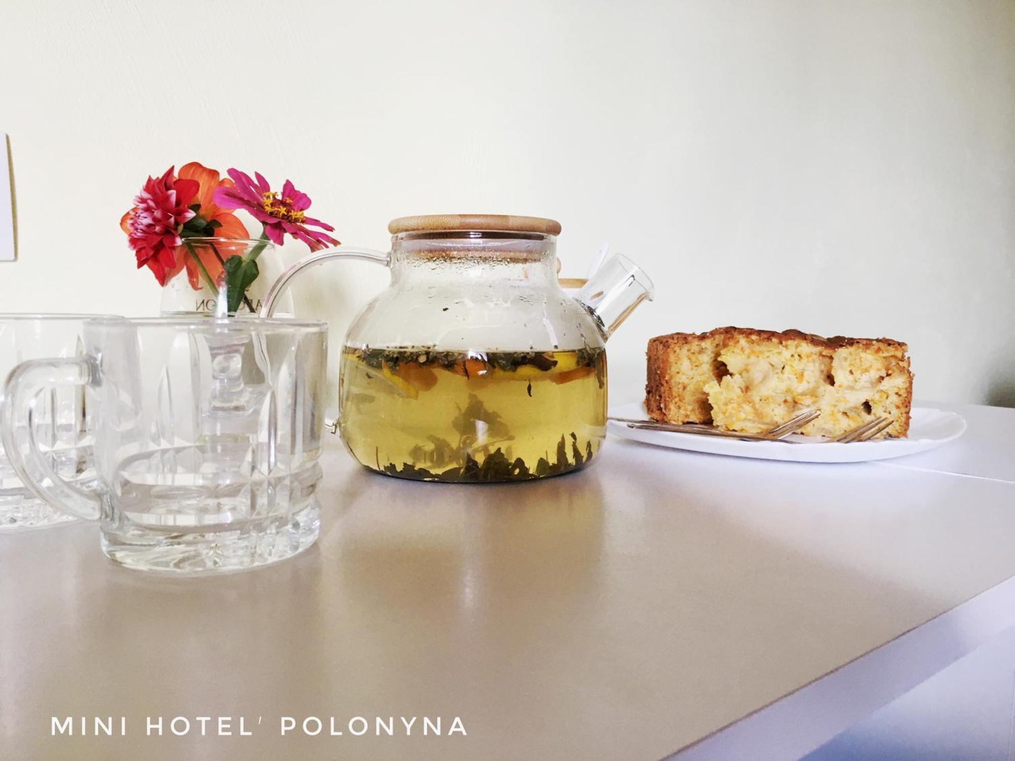 Mini Hotel Polonyna Pilipets 외부 사진